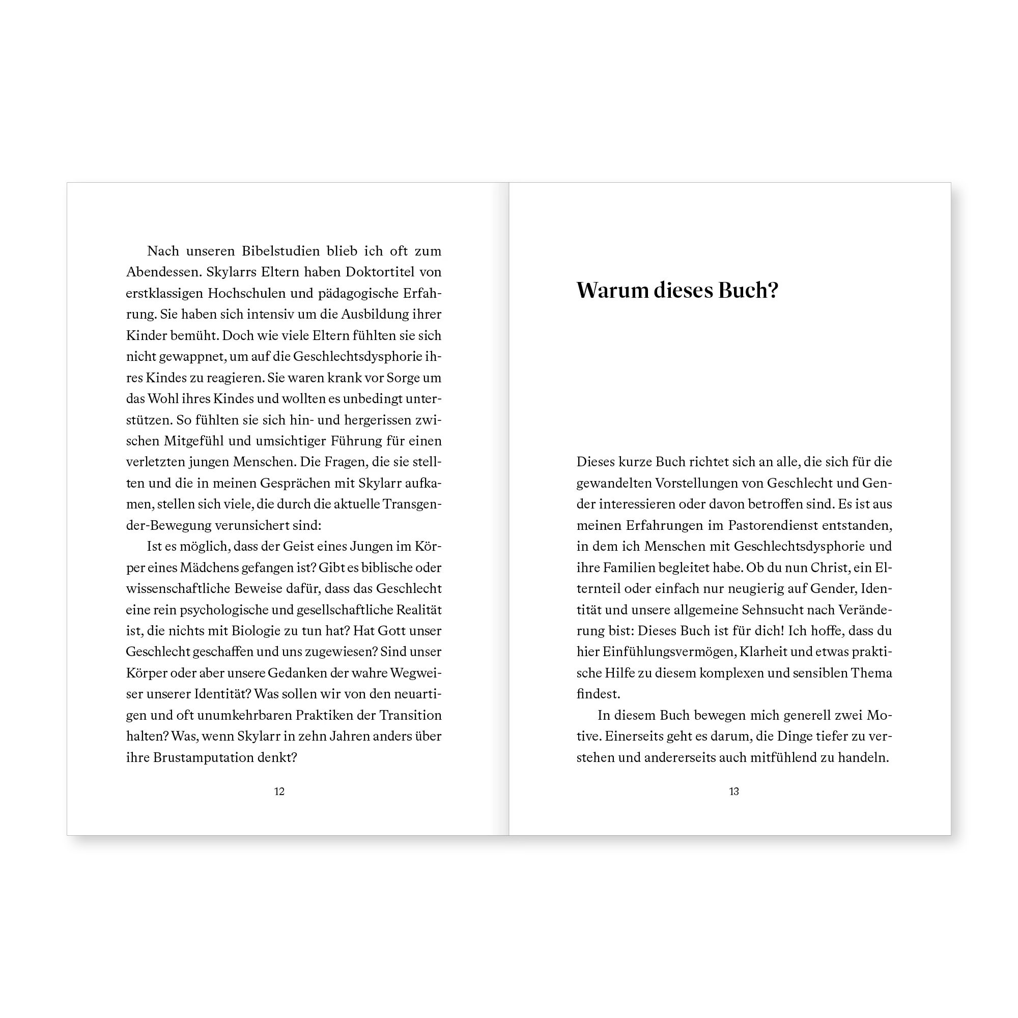 Glaubt Gott an Geschlechtervielfalt?: Eine biblische Sicht auf Gender und Identität - Image 4