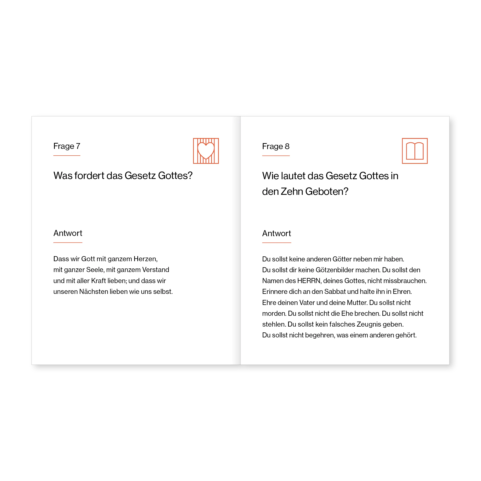 New City Katechismus für Kids: 52 Fragen & Antworten für Herz & Verstand - Image 7