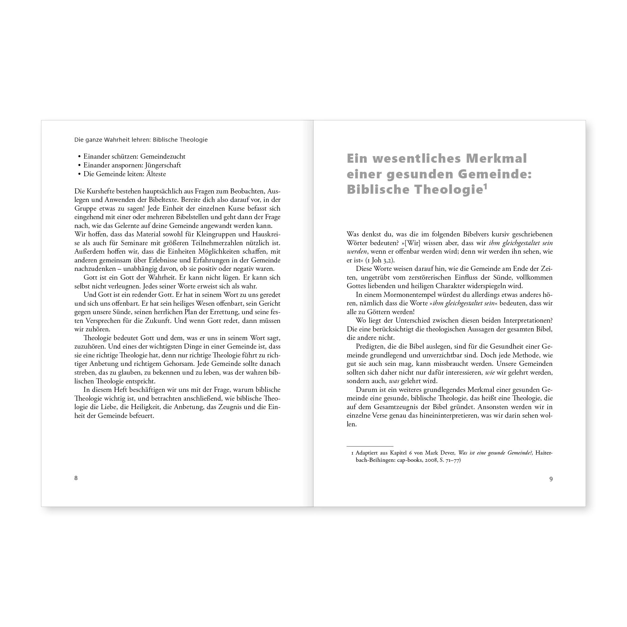 Die ganze Wahrheit lehren: Biblische Theologie - Image 5