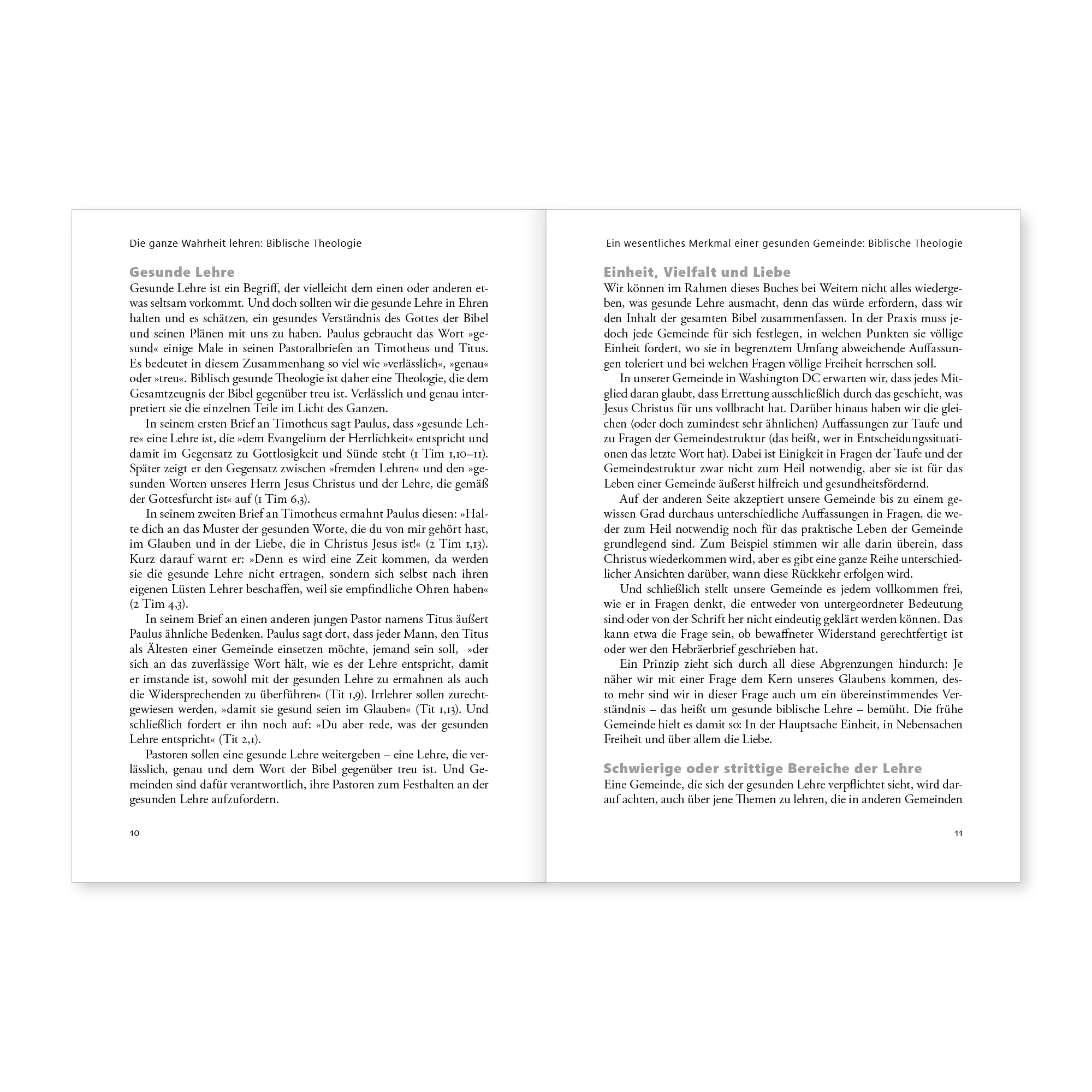 Die ganze Wahrheit lehren: Biblische Theologie - Image 6