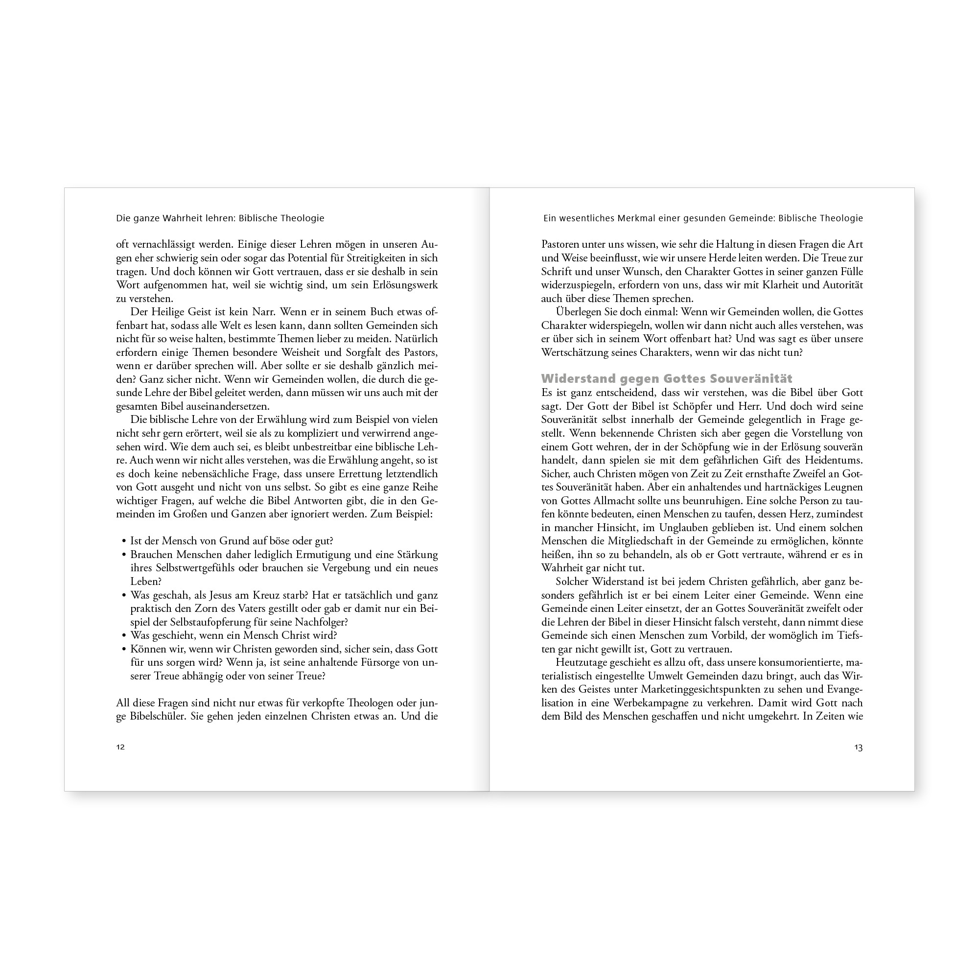Die ganze Wahrheit lehren: Biblische Theologie - Image 7
