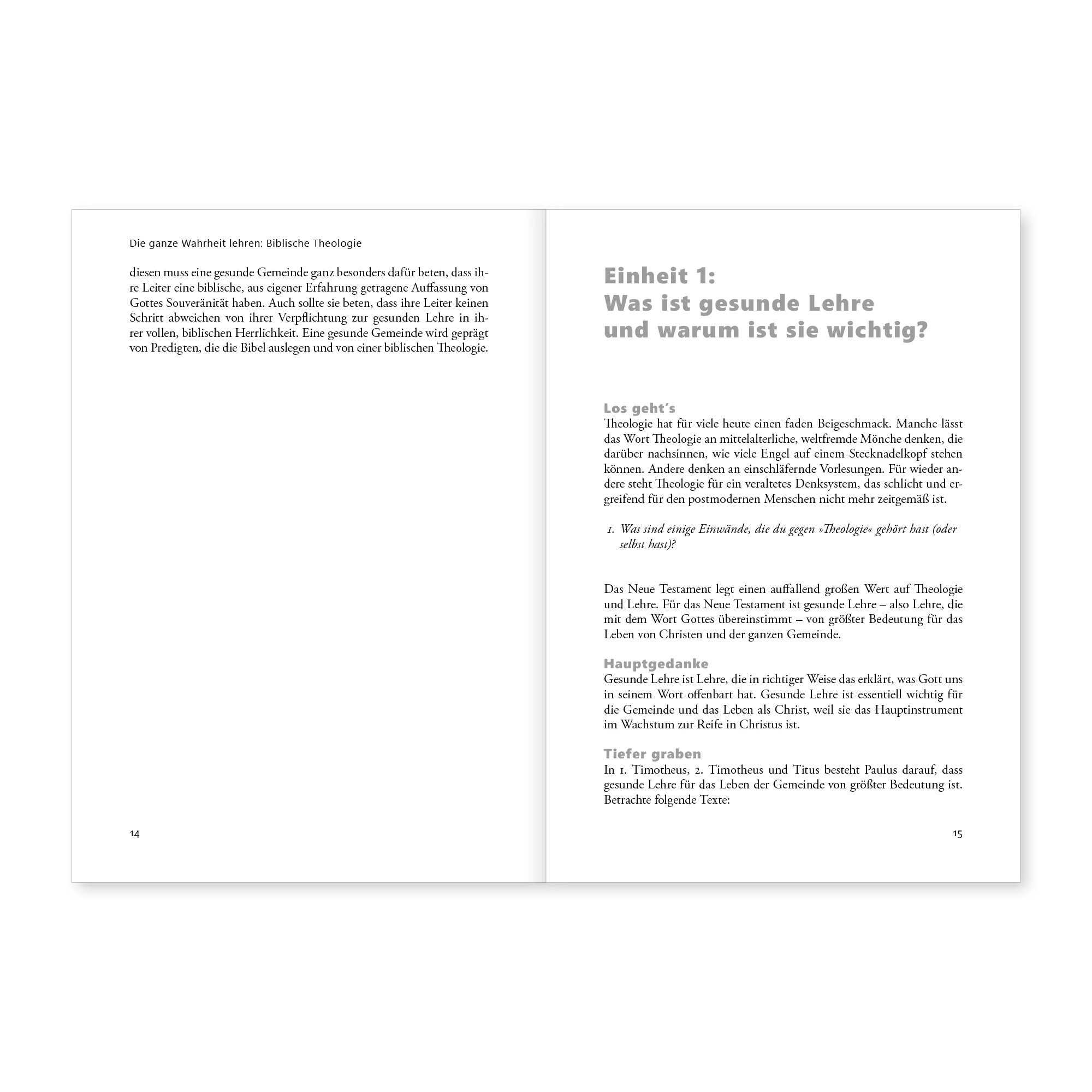 Die ganze Wahrheit lehren: Biblische Theologie - Image 8